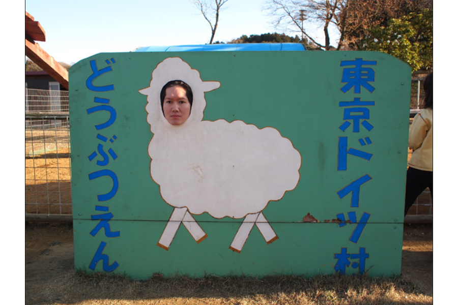 ▲年賀状用に作られていなくても、干支にちなんだ動物ものは、ストックしておくと便利です。