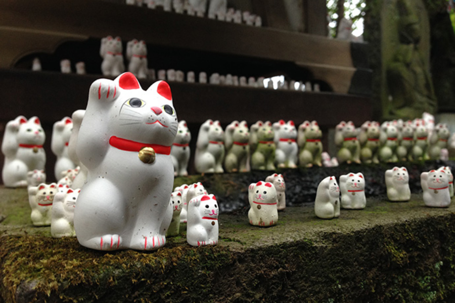 ▲奉納された招き猫がいっぱい。猫だらけ!