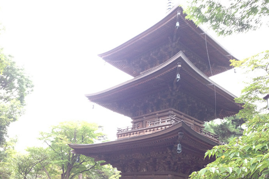 ▲境内の三重の塔、招き猫目当てに来たものの寺社仏閣建築の鑑賞もできて満足