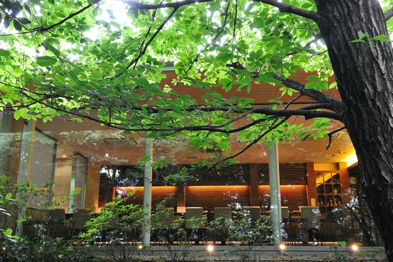 ▲Cafe&Bar「結庵」