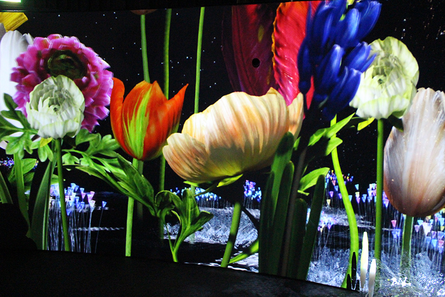 Nakedのお花見が幻想的すぎる 期間限定の Flowers By Naked 18 にgo レッツエンジョイ東京