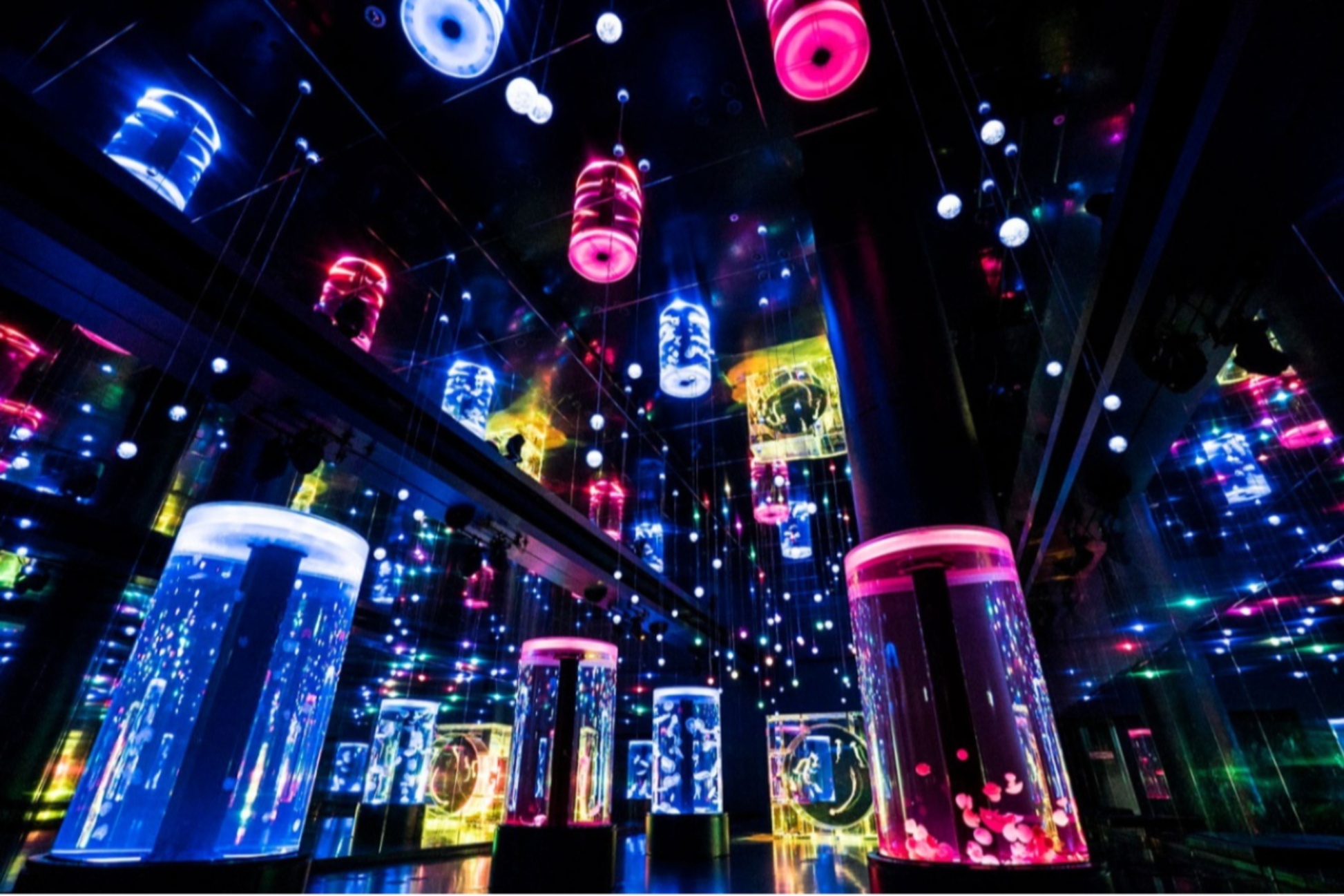 デート何する 問題を解決 することない時のおすすめプラン レッツエンジョイ東京