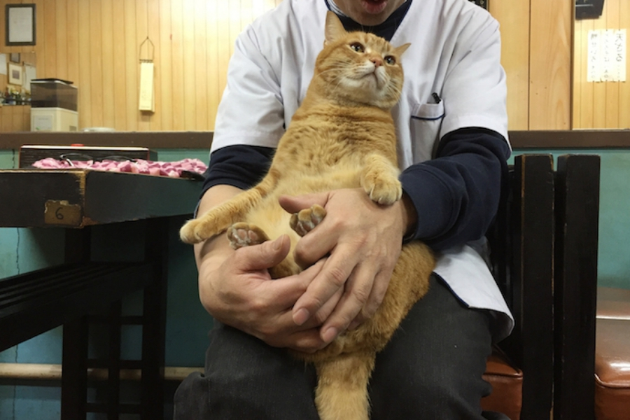 ▲休憩時間の癒されタイム。ピンクくん、こちらのお兄さんとは会話ができるらしい。