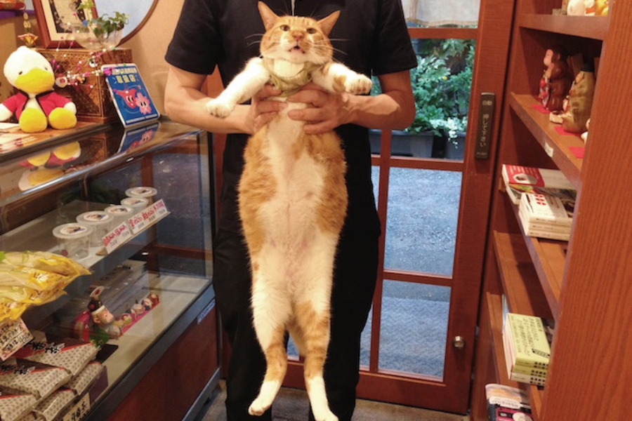 ▲長いねえ、太いねえ、口が半開きでかわいいねえ