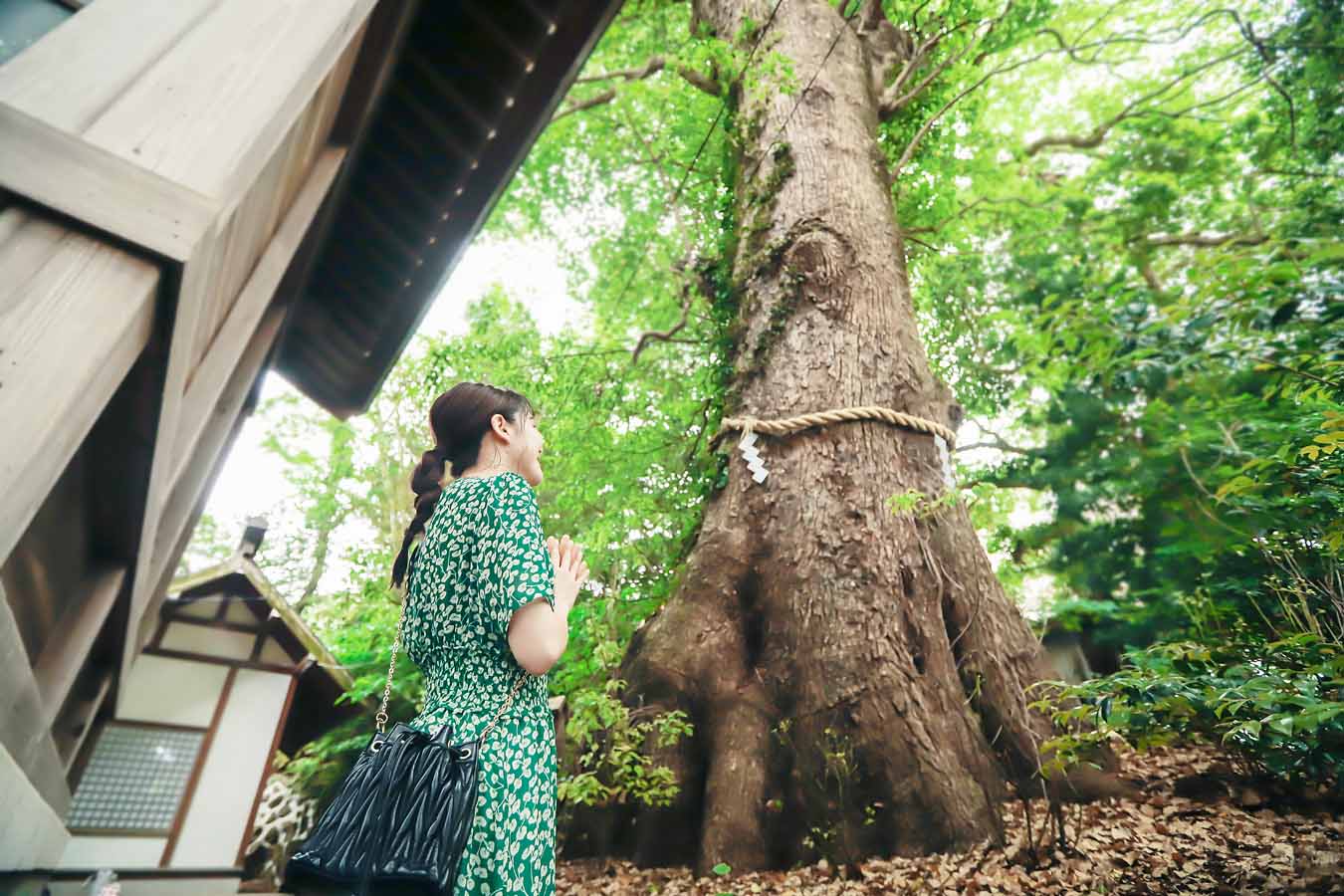 Pr 大河ドラマで話題の神社も 熱海のパワースポットと人気スイーツを巡る 女子ひとり旅 レッツエンジョイ東京