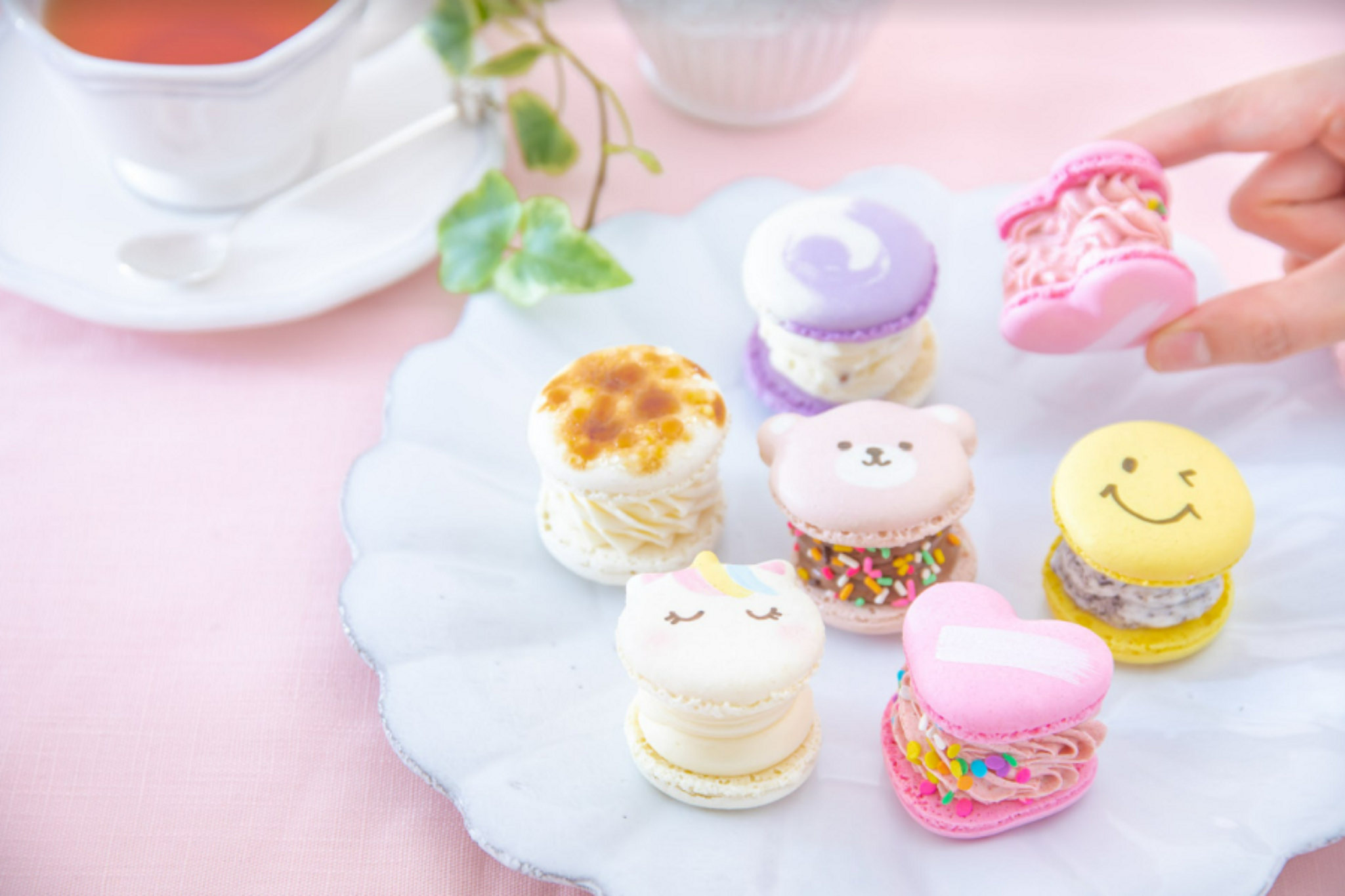新宿 韓国スイーツ トゥンカロン専門店 Licorne オープン レッツエンジョイ東京 新宿 韓国スイーツ トゥンカロン専門店 Licorne オープン レッツエンジョイ東京