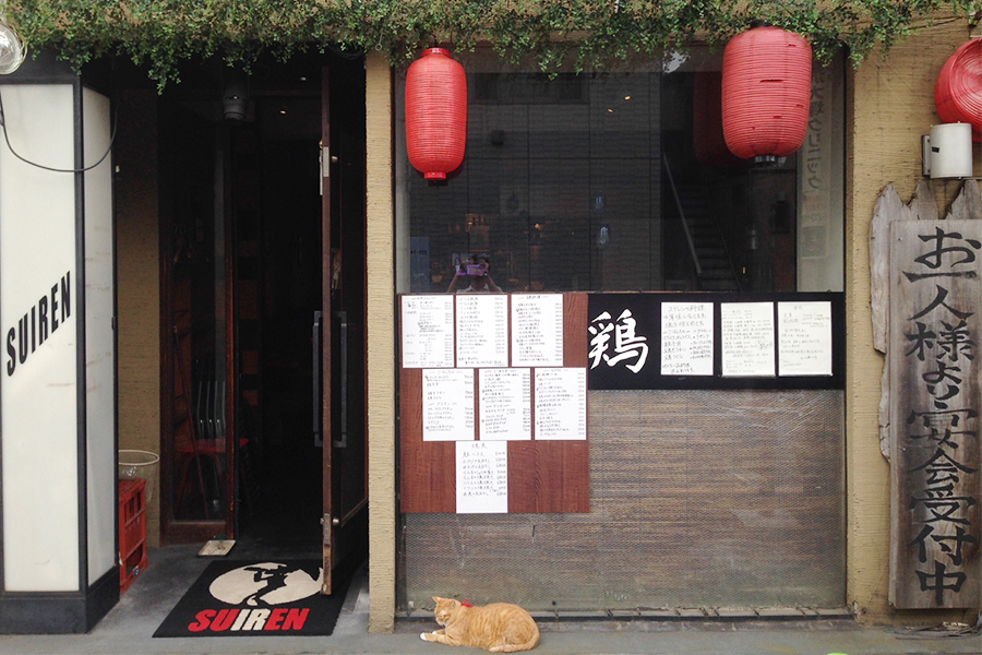 ▲「お一人様より宴会受付中」の看板とネコ、この企画を絵に描いたような場面