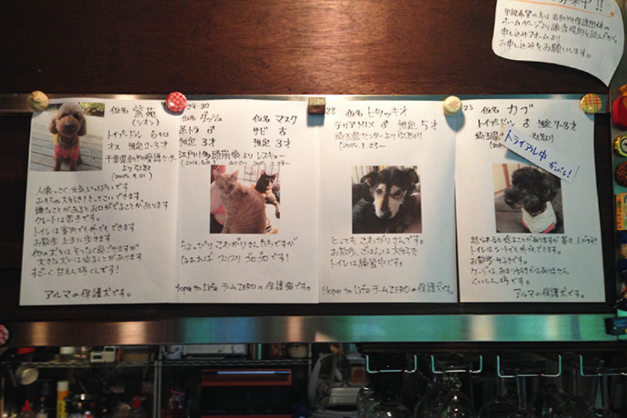 ▲お品書きの代わりに、里親募集の告知、ある意味新しい。