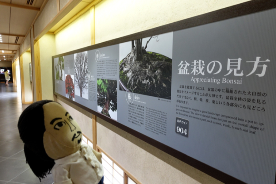▲ギャラリー壁面には「盆栽の見方」「樹種と形態」「盆栽の技」「大宮盆栽村の歴史」などがわかりやすくまとめられたパネル展示があるので初心者でも安心