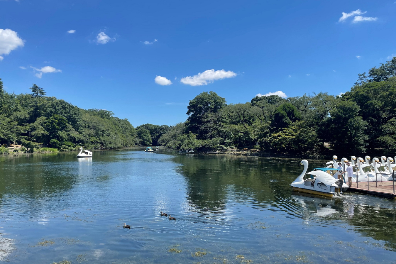 ▲井の頭恩賜公園