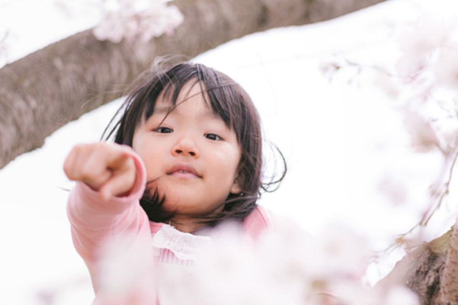 人物撮りは、桜越しに撮れるポイントを探して