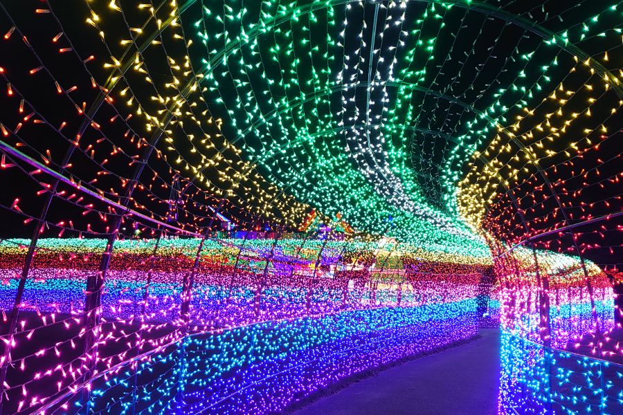 東京ドイツ村