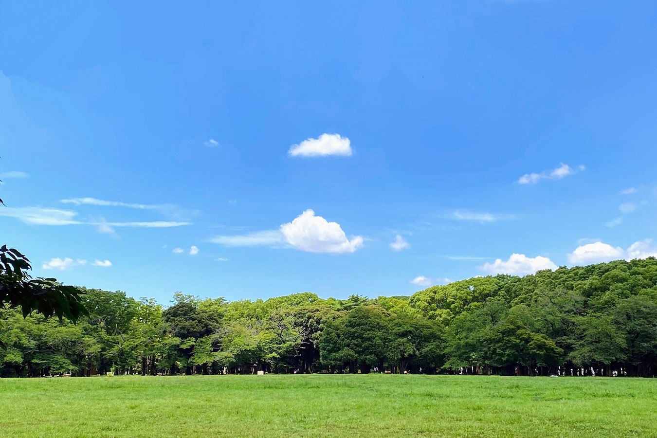 東京 晴れた日に楽しみたい 屋外デートスポット 5選 レッツエンジョイ東京