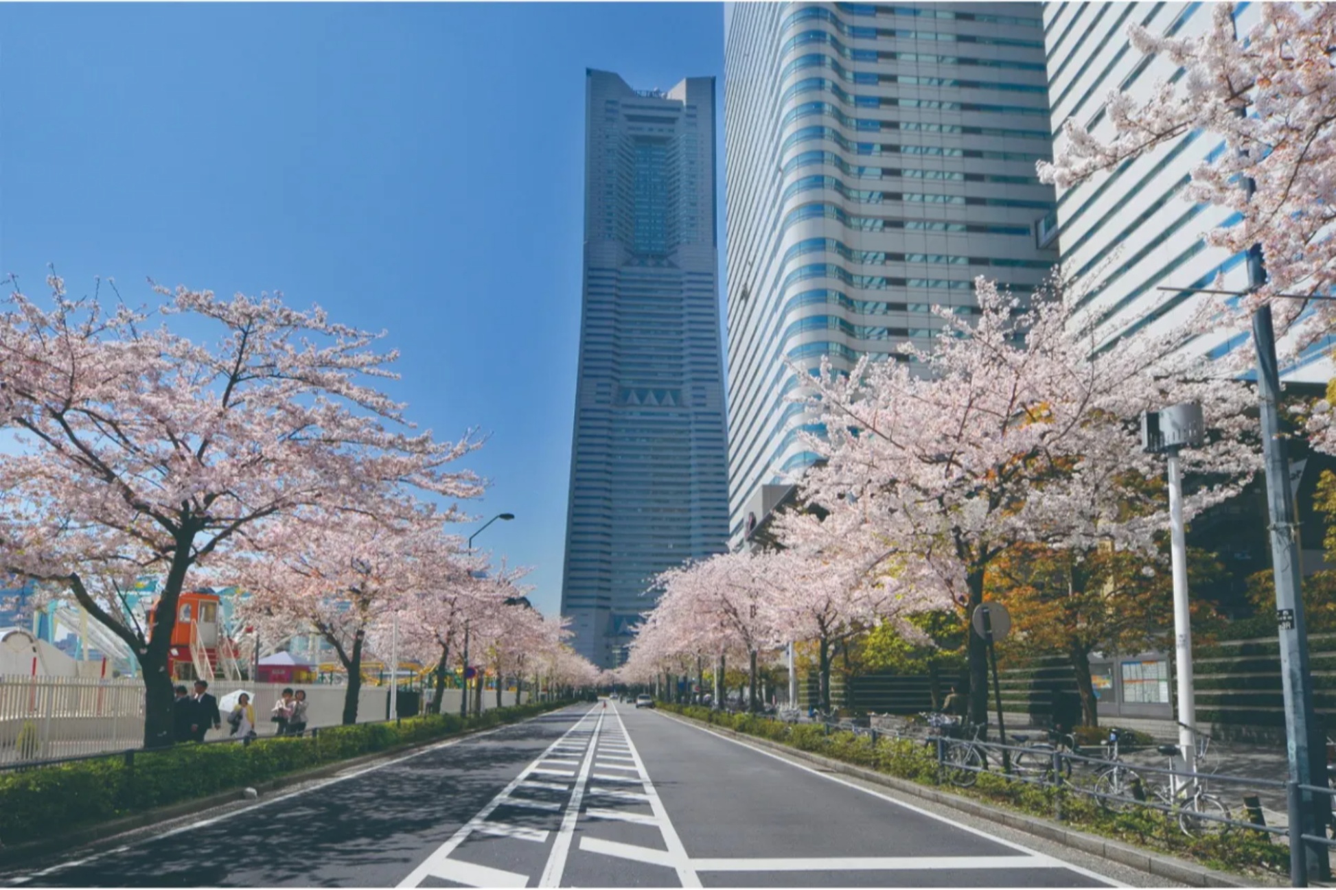 この春 女子が 誘われたい ロマンチックなお花見デートスポットまとめ 横浜 レッツエンジョイ東京