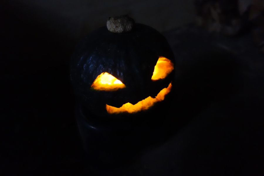 ▲カボチャの底から火を灯したロウソクを入れて部屋を暗くすると、憧れのカボチャのランタンが光った!