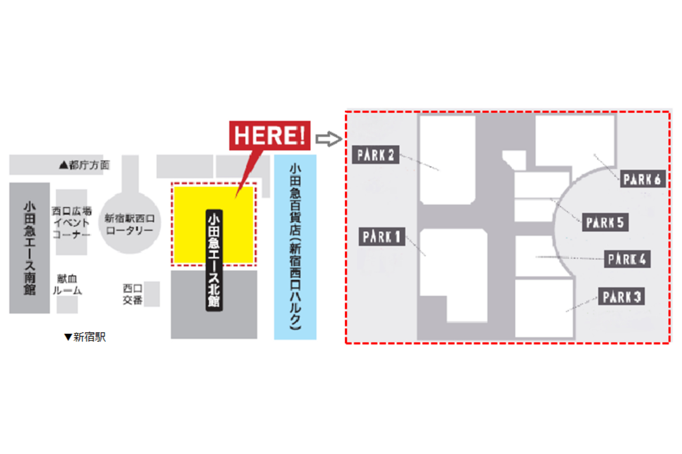 ▲新宿駅西口地下街「小田急エース」北館の西側約1,000㎡のエリアに誕生
