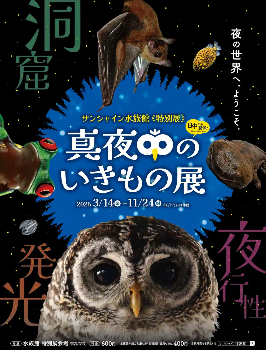 プレゼント1