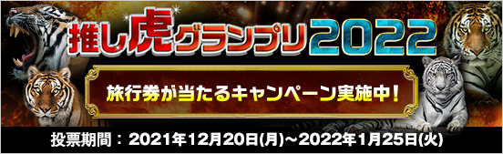 「推し虎グランプリ2022」投票はこちらから