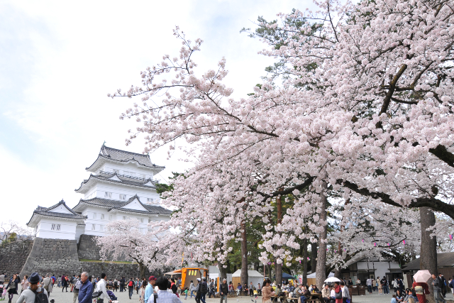 小田原城（神奈川）_1