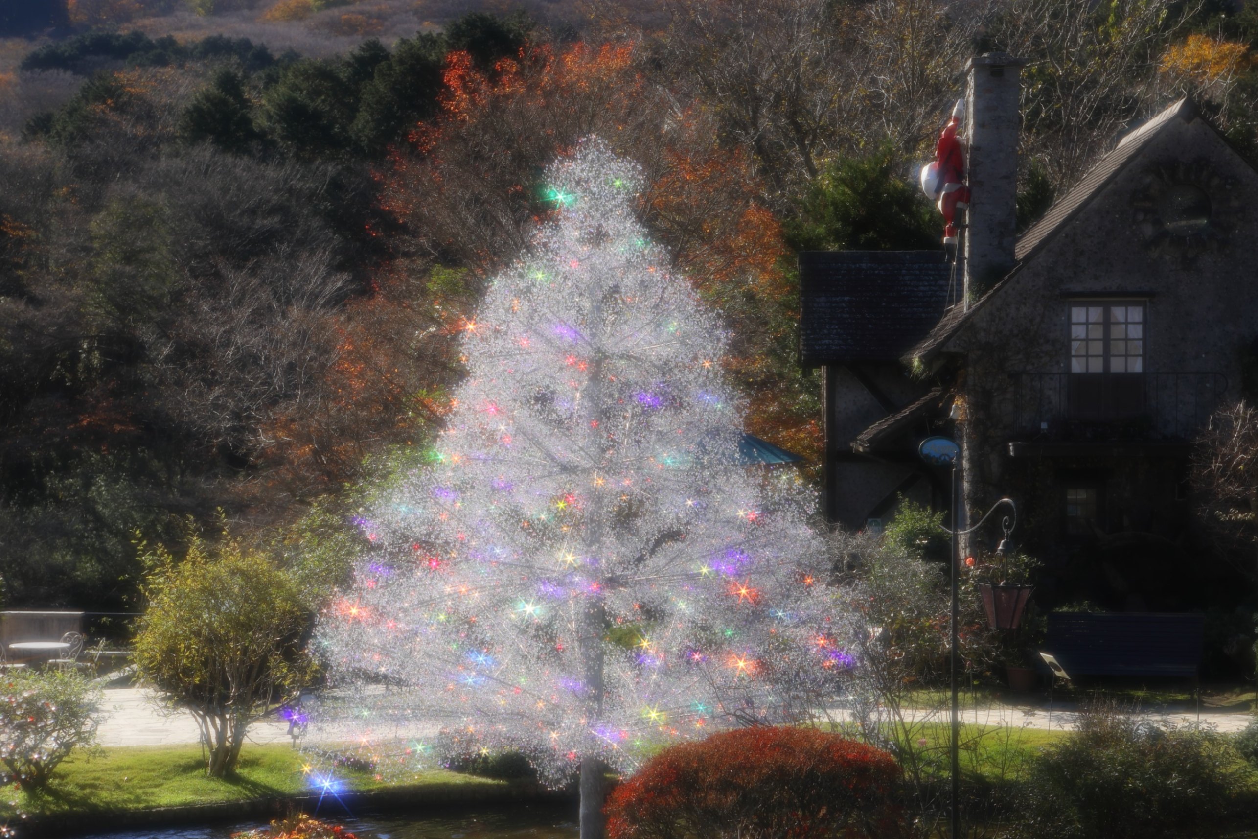 クリスタル イルミネーション 陽光と風に輝くクリスマス レッツエンジョイ東京
