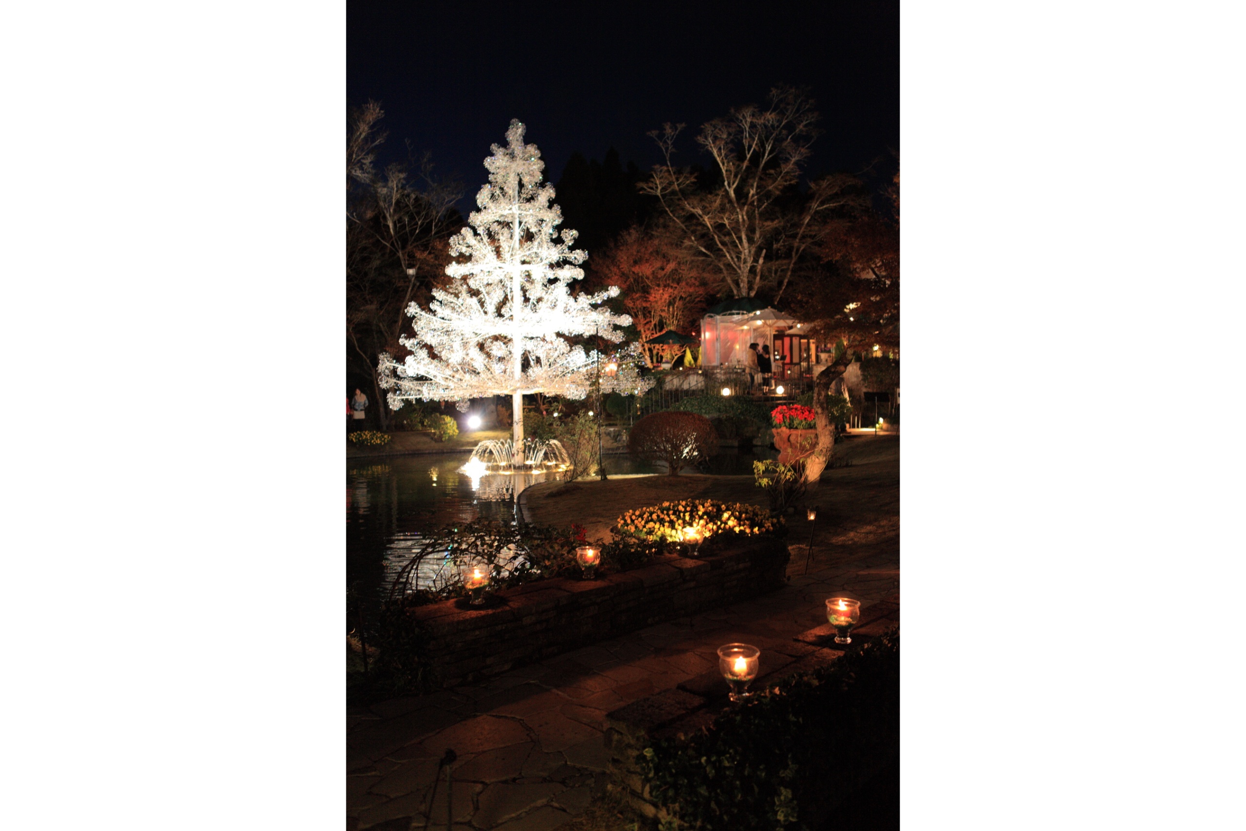 クリスタル イルミネーション 陽光と風に輝くクリスマス レッツエンジョイ東京