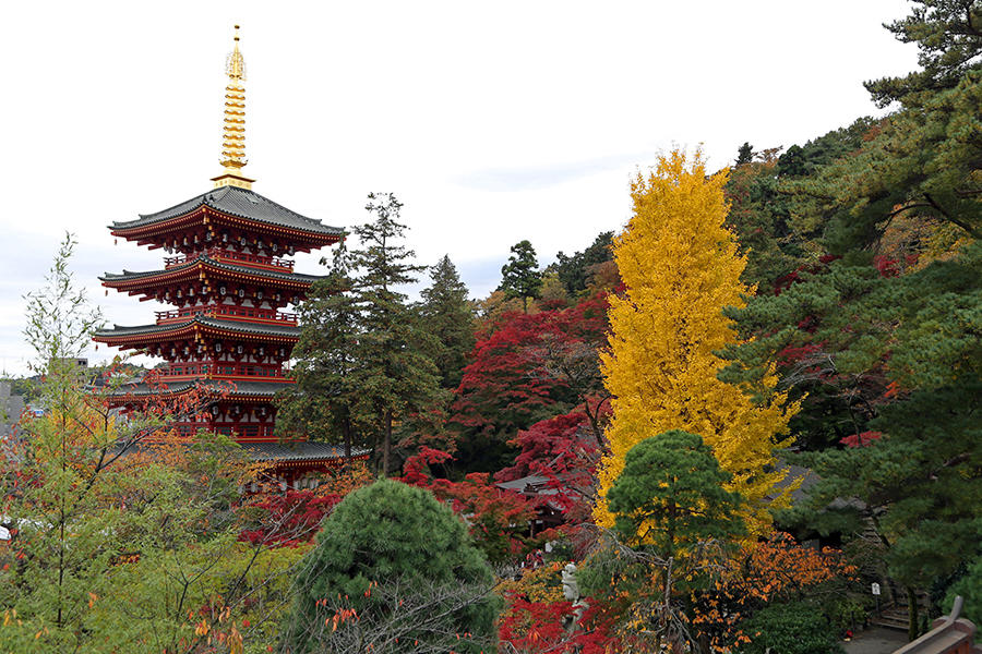 高幡不動尊もみじまつり レッツエンジョイ東京