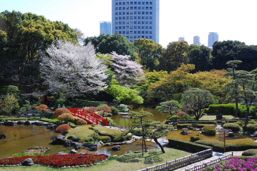 ホテルニューオータニのお花見情報 桜の開花 見頃 レッツエンジョイ東京 ホテルニューオータニのお花見情報 桜の開花 見頃 レッツエンジョイ東京