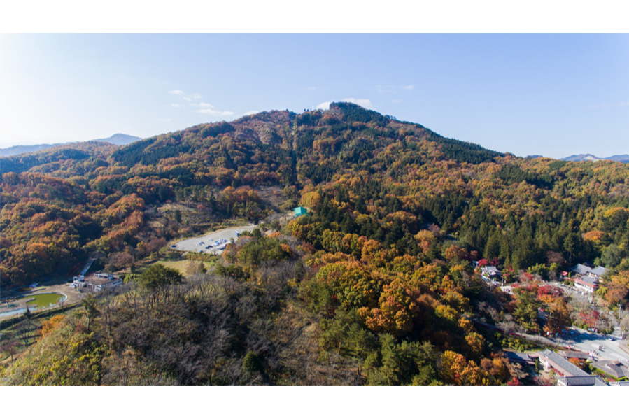 月の石もみじ公園ライトアップ22 レッツエンジョイ東京
