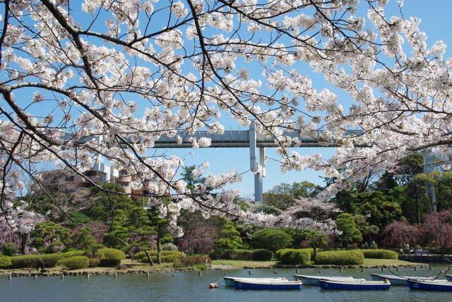 千葉県のお花見 桜の名所22 レッツエンジョイ東京