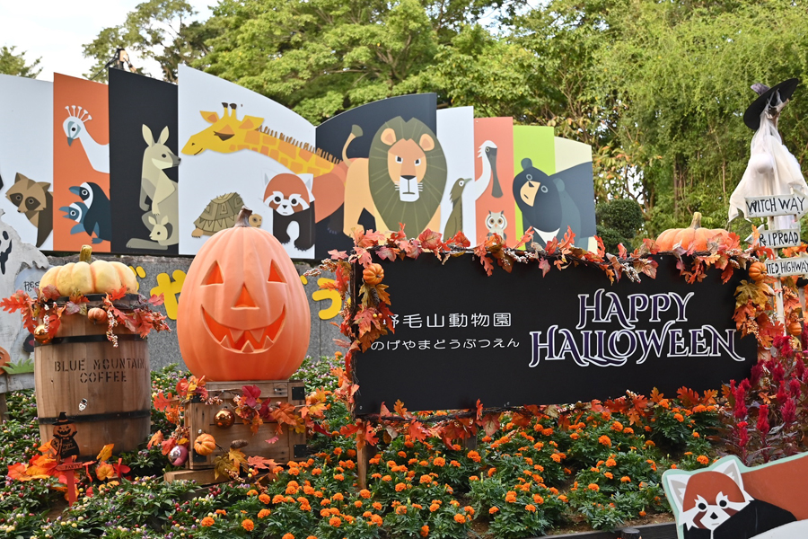 のげやまハロウィン レッツエンジョイ東京