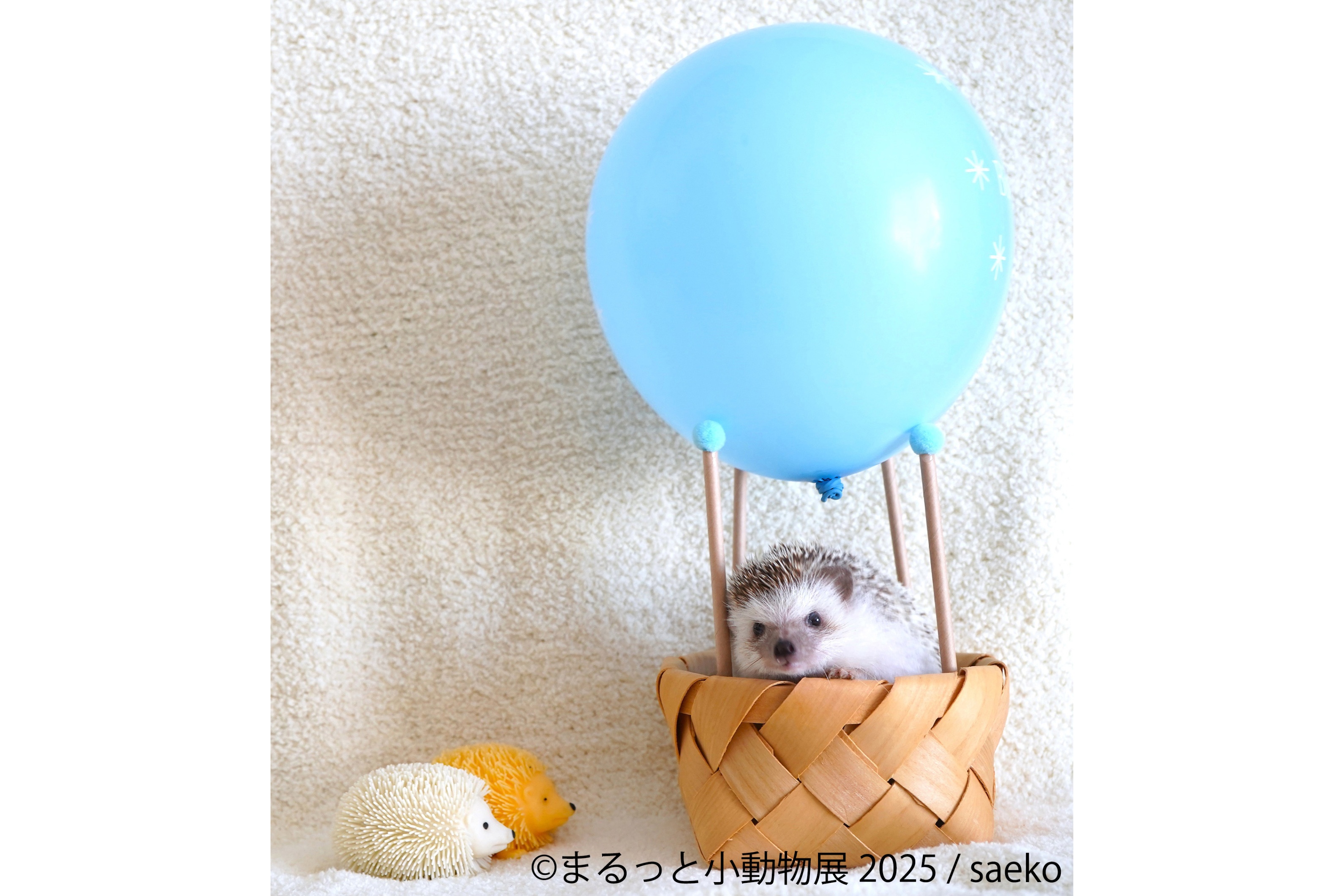 まるっと小動物展 レッツエンジョイ東京 まるっと小動物展 レッツエンジョイ東京