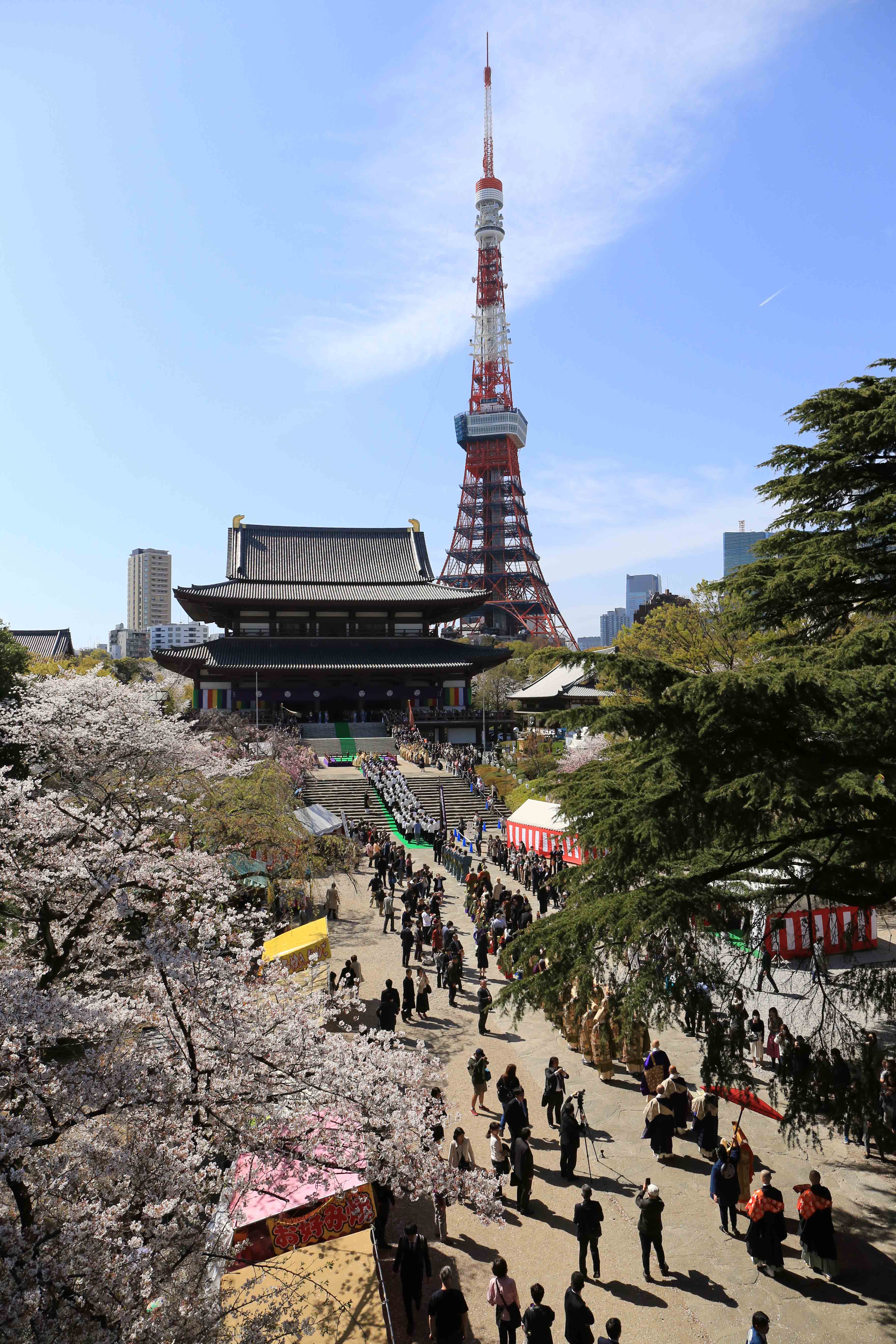 増上寺のお花見情報 桜の開花 見頃 レッツエンジョイ東京