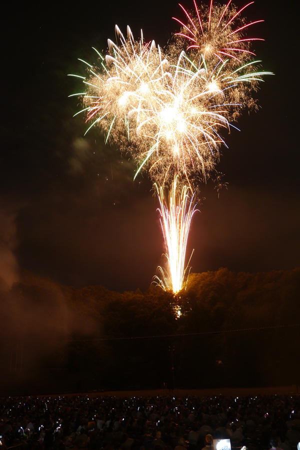 令和元年記念 第71回青梅市納涼花火大会 レッツエンジョイ東京 令和元年記念 第71回青梅市納涼花火大会 レッツエンジョイ東京