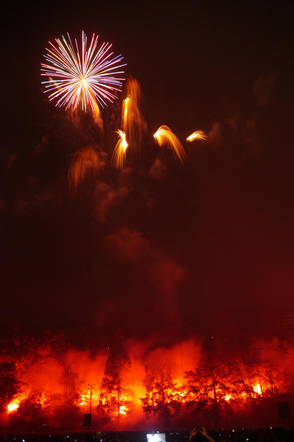 令和元年記念 第71回青梅市納涼花火大会 レッツエンジョイ東京 令和元年記念 第71回青梅市納涼花火大会 レッツエンジョイ東京