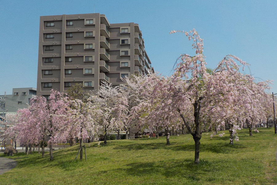 ファミリーカテゴリのイベント一覧 1558件中1 36件を表示 Infomotion インフォモーション