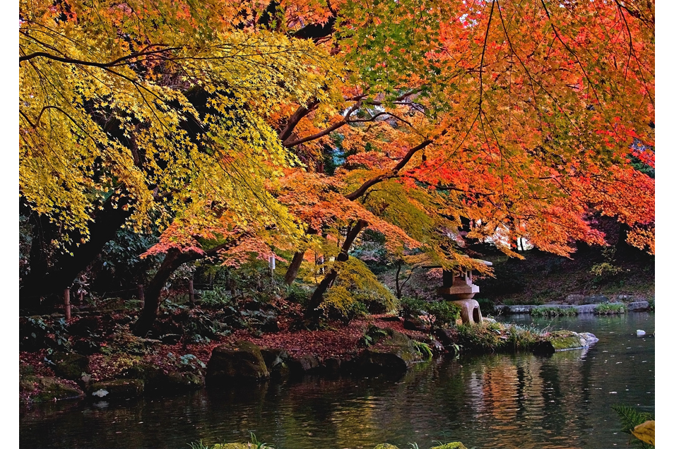 成田山公園紅葉まつり 成田山新勝寺 レッツエンジョイ東京