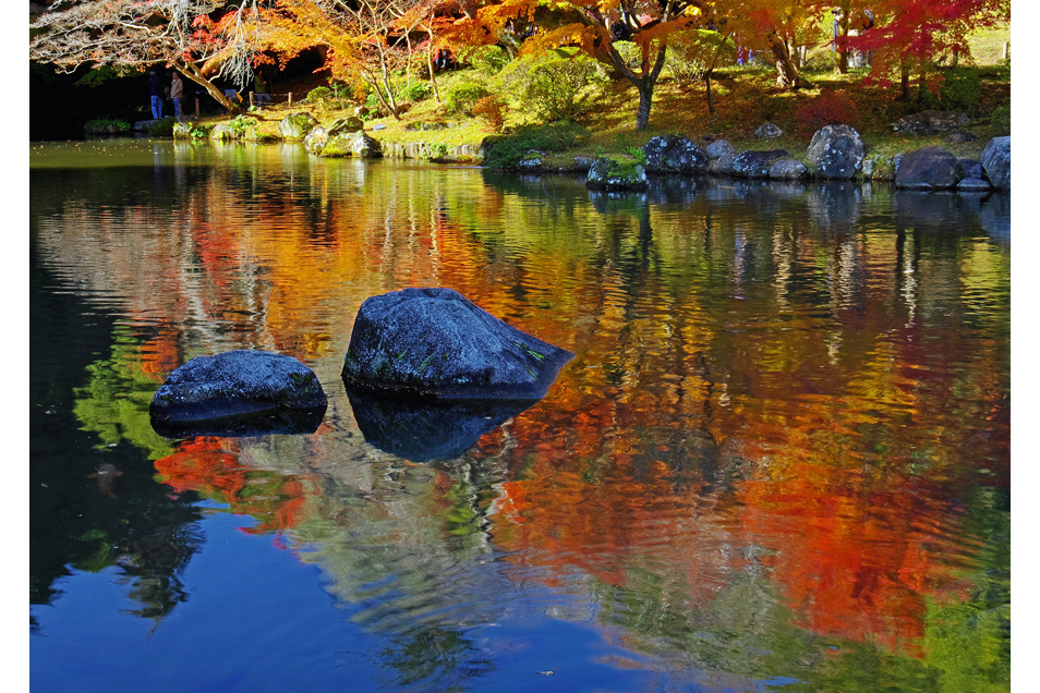 成田山公園紅葉まつり 成田山新勝寺 レッツエンジョイ東京