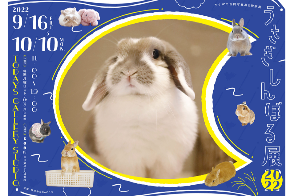 うさぎしんぼる展 22 レッツエンジョイ東京 うさぎしんぼる展 22 レッツエンジョイ東京