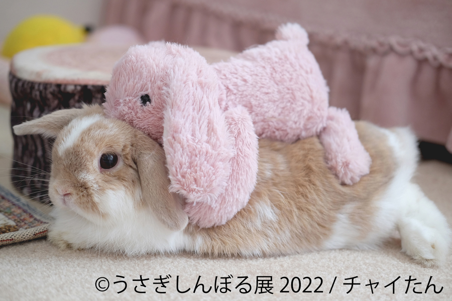 うさぎしんぼる展 22 レッツエンジョイ東京