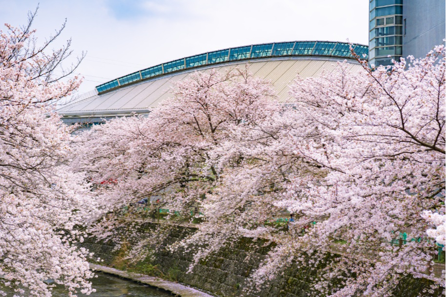 町田さくらまつり レッツエンジョイ東京