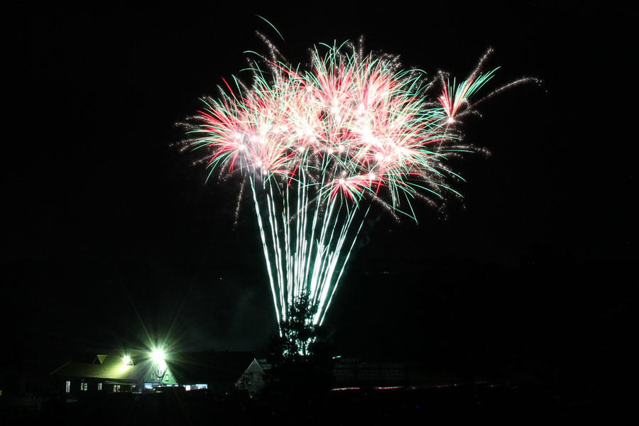 22年開催中止 袖ケ浦市民夏まつり レッツエンジョイ東京 22年開催中止 袖ケ浦市民夏まつり レッツエンジョイ東京