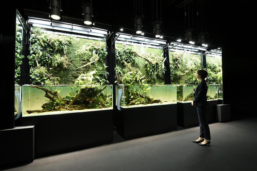 水道橋駅周辺 買い物 ショッピングのイベント レッツエンジョイ東京 水道橋駅周辺 買い物 ショッピングのイベント レッツエンジョイ東京