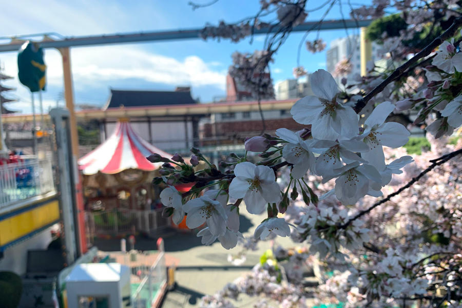 浅草のイベント レッツエンジョイ東京