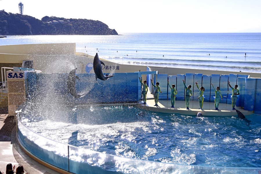 新江ノ島水族館