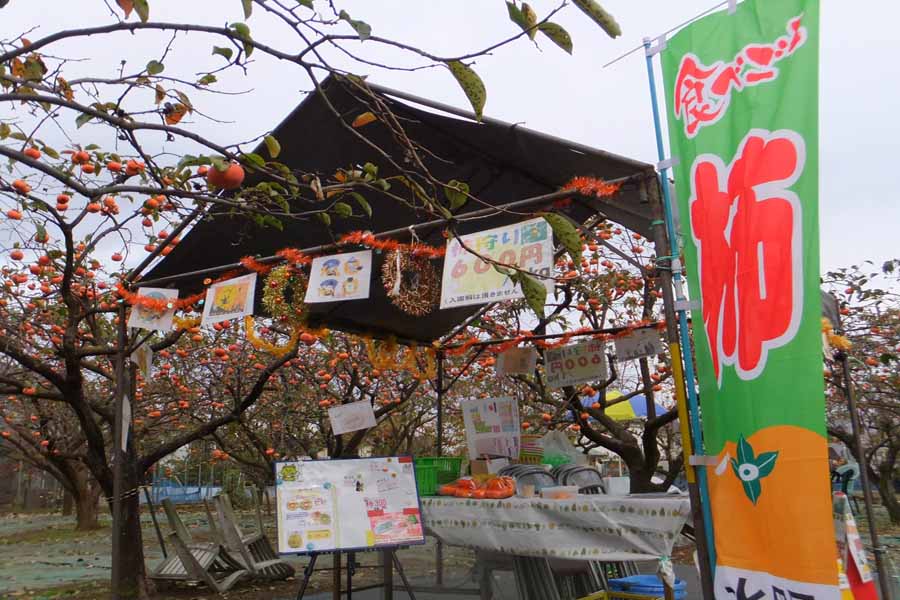水田園