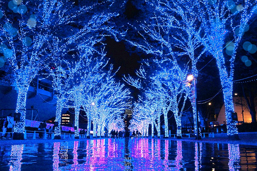 青の洞窟3