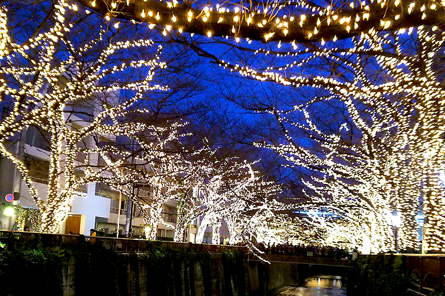 NAKAMEGURO JEWEL DOME 2016
