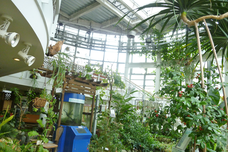 渋谷区ふれあい植物センター