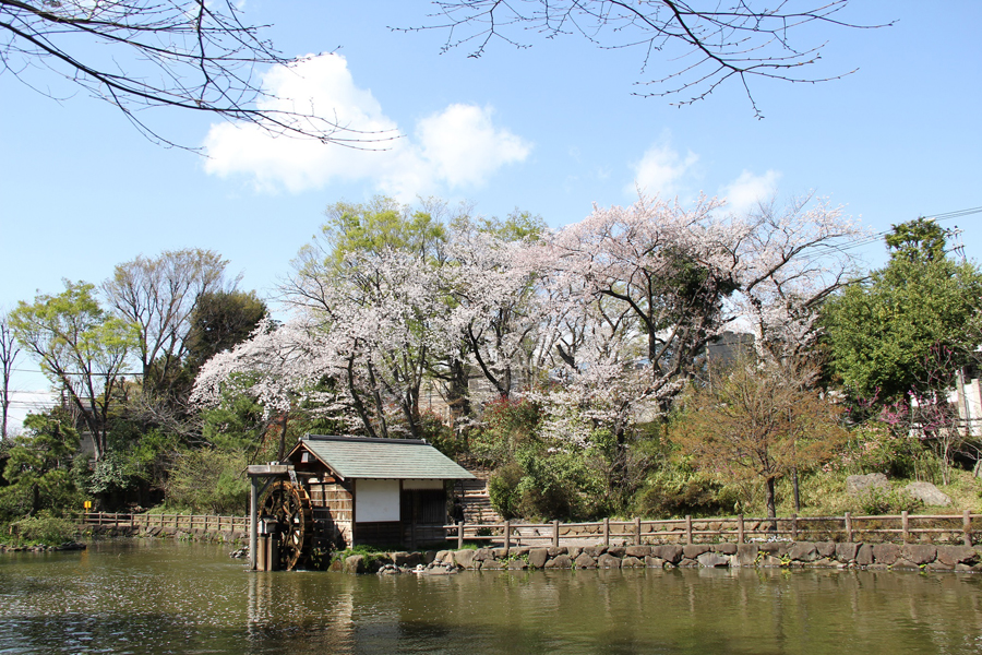 鍋島松濤公園