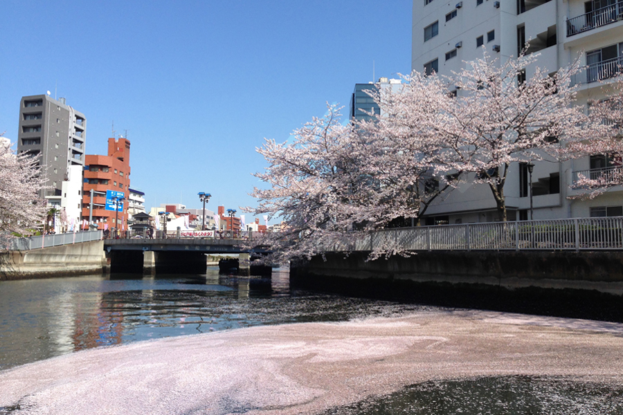 花いかだ